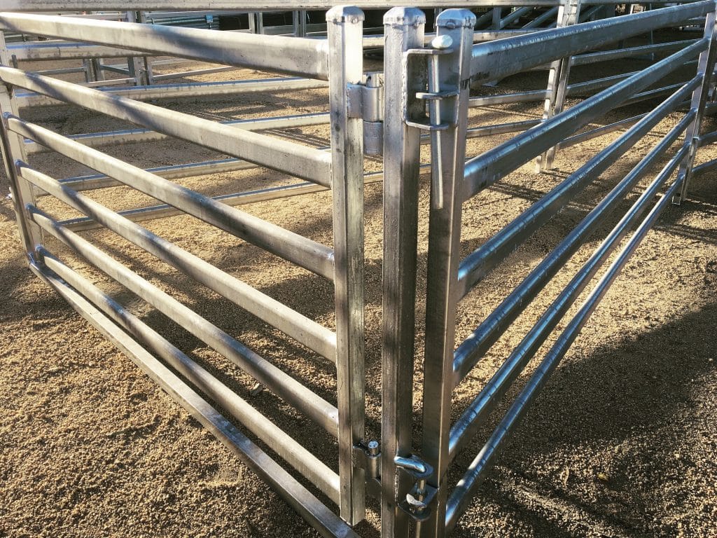 Sheep Panels 2 Sept19 McGregor Gourlay